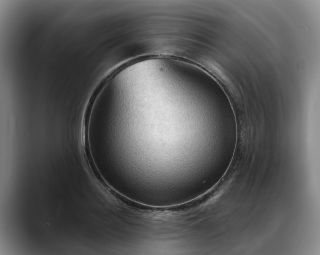 X0000088490940200705291645