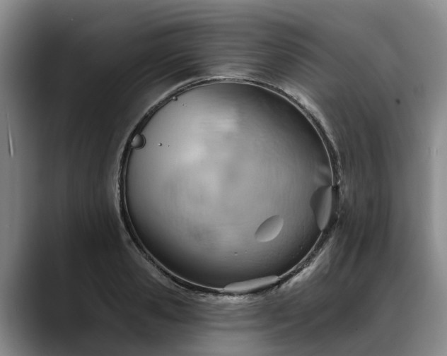 X0000088490941200705291645