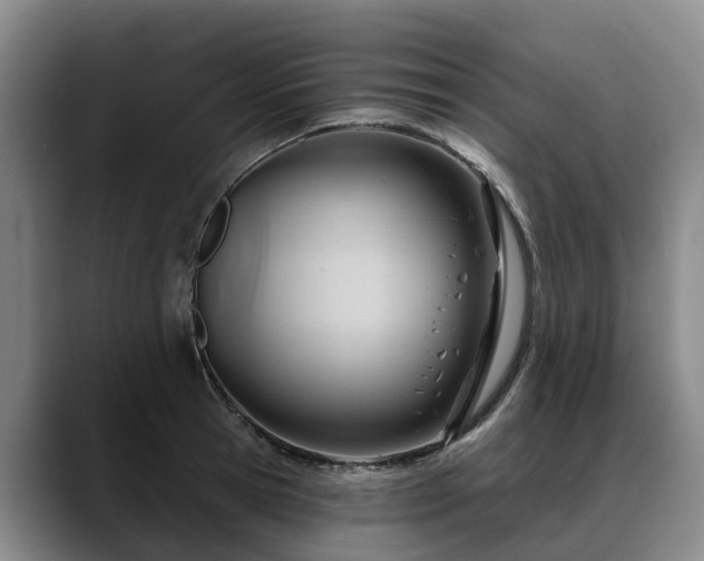 X0000088490945200705291645