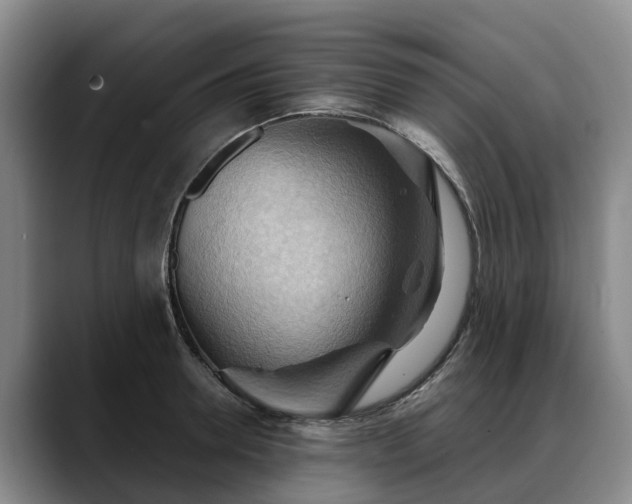 X0000088490946200705291645