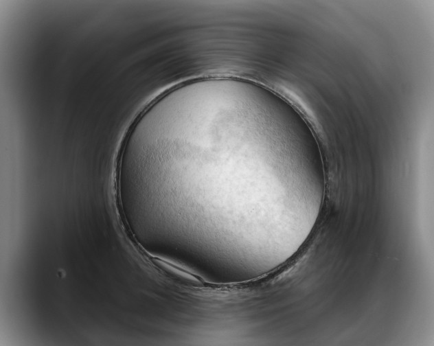 X0000088490948200705291645