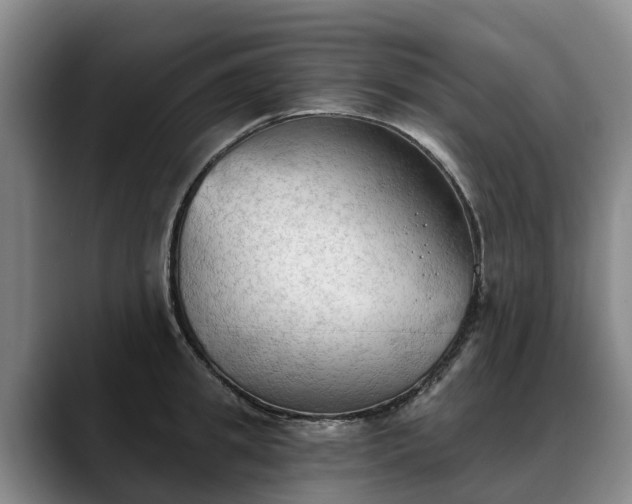 X0000088490949200705291645