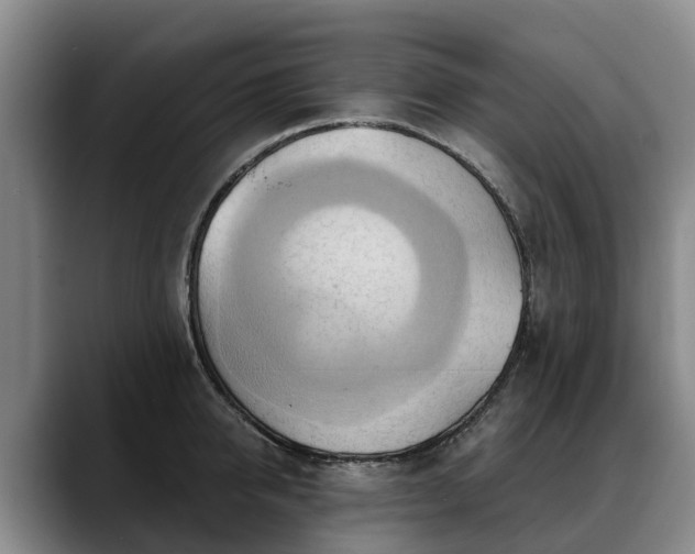 X0000088490950200705291645