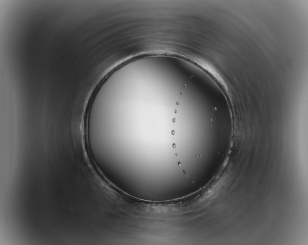 X0000088490951200705291645