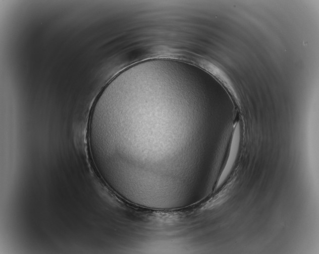X0000088490954200705291645