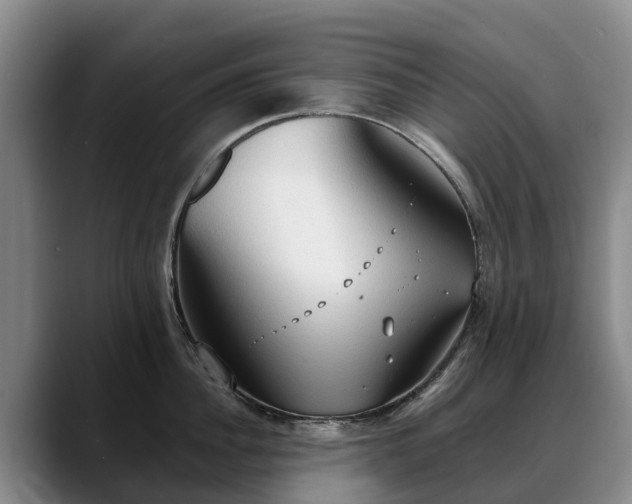 X0000088490956200705291645