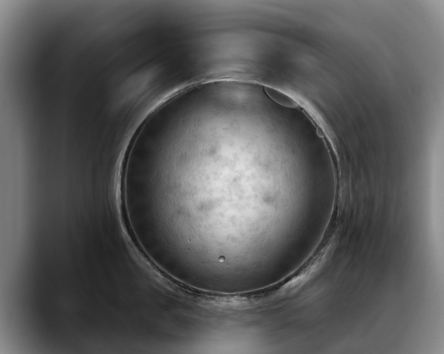 X0000088490957200705291645