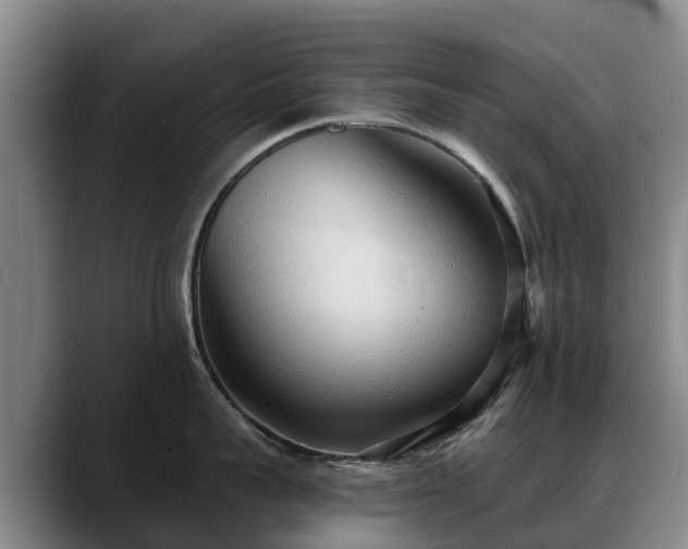 X0000088490959200705291645