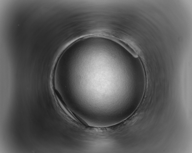 X0000088490960200705291645