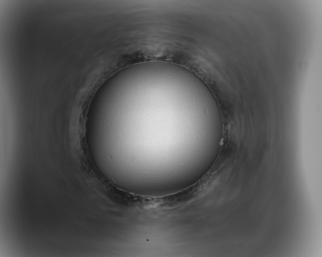 X0000088490961200705291644