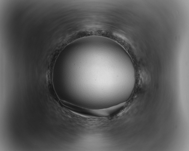 X0000088490965200705291644