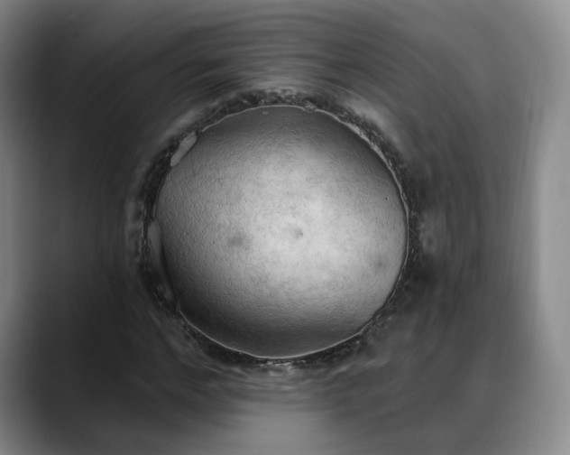 X0000088490968200705291644