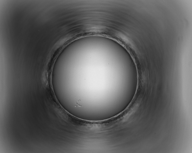 X0000088490970200705291644