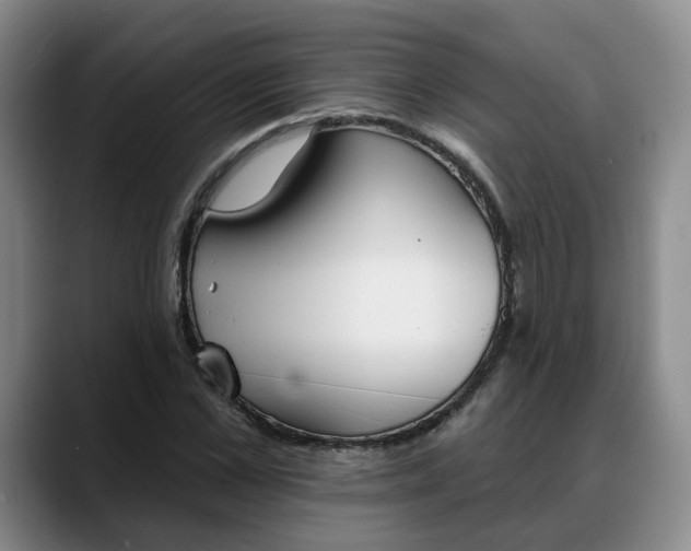 X0000088490973200705291644