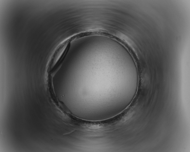 X0000088490975200705291644