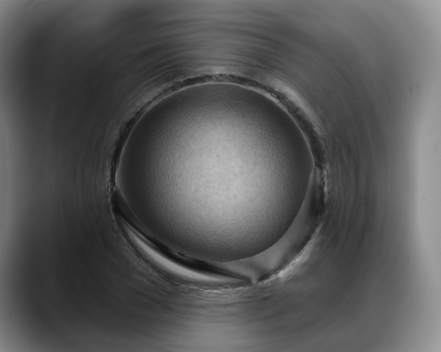 X0000088490977200705291644