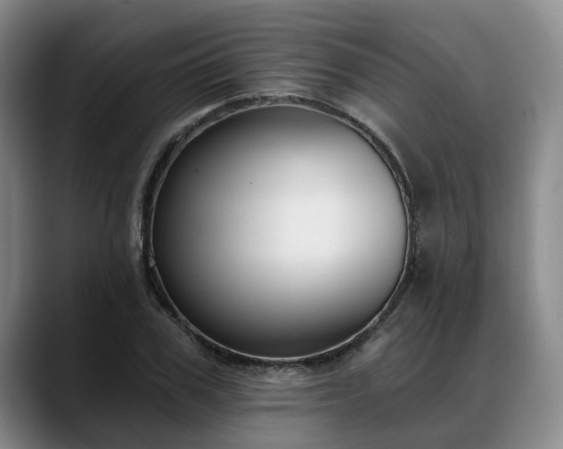 X0000088490979200705291644
