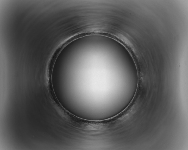X0000088490981200705291644
