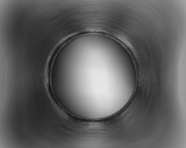 X0000088490984200705291644