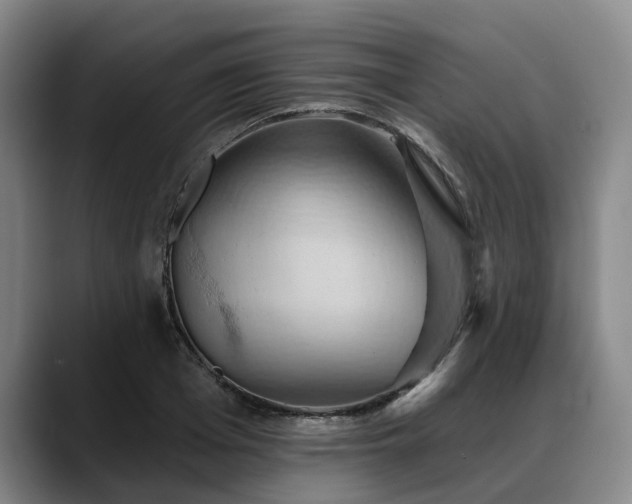 X0000088490985200705291644