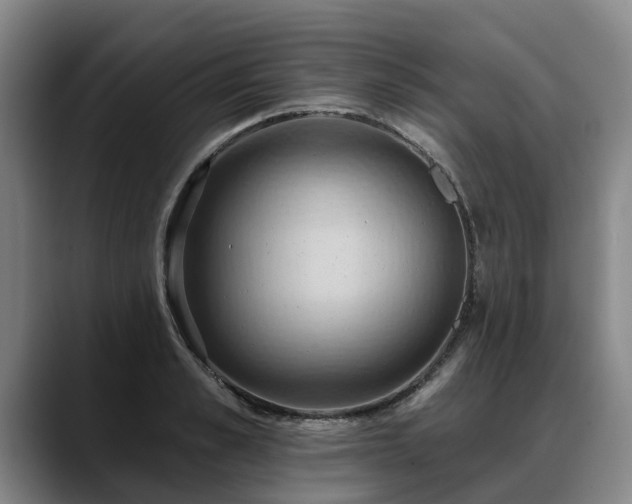X0000088490989200705291644