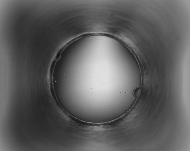 X0000088490990200705291644