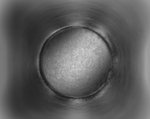 X0000088490991200705291644