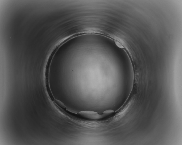X0000088490995200705291644