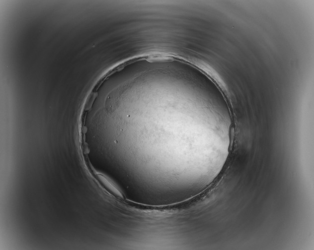 X0000088490996200705291644