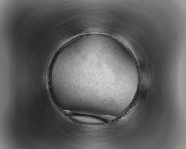 X0000088490997200705291644