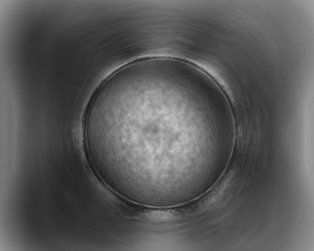 X0000088490998200705291644