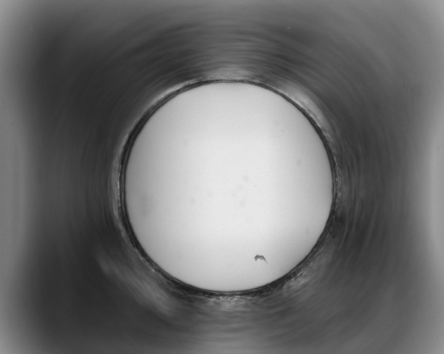 X0000088491000200705291644