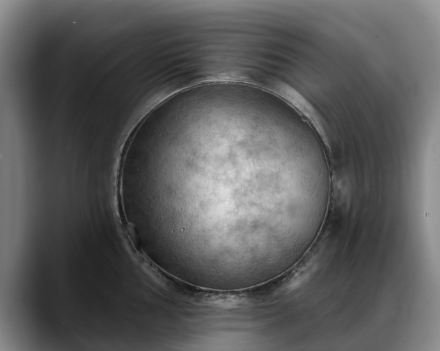 X0000088491002200705291644