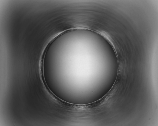 X0000088491003200705291644