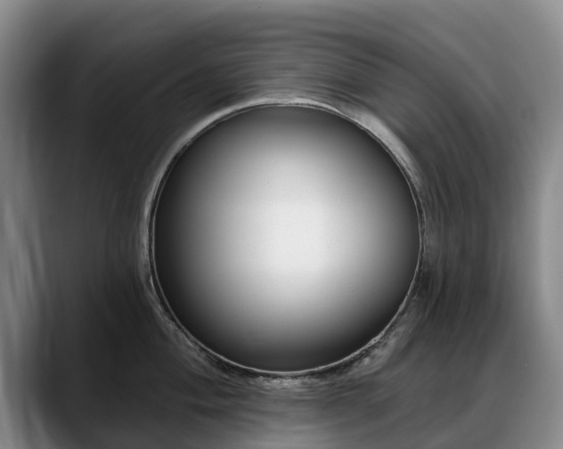 X0000088491004200705291644