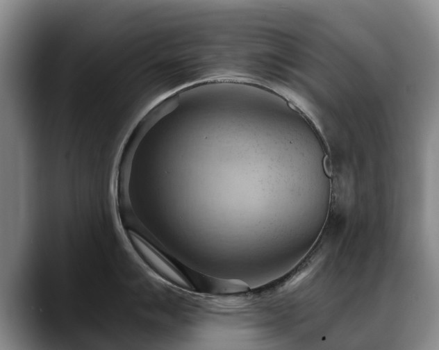 X0000088491007200705291644