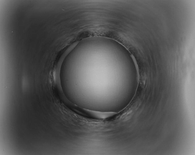 X0000088491010200705291643