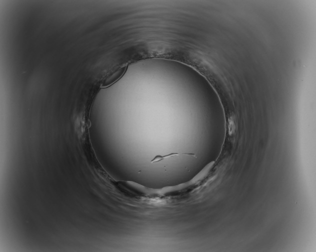 X0000088491011200705291643