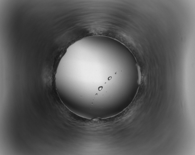 X0000088491012200705291643