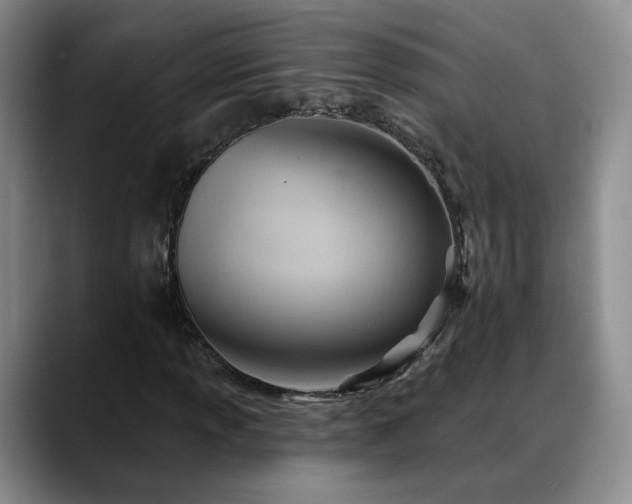 X0000088491013200705291643