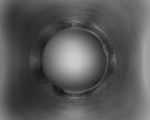X0000088491014200705291643