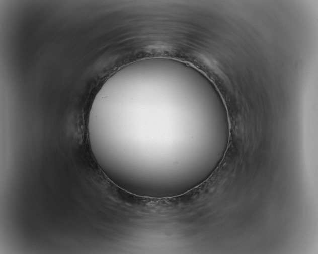 X0000088491015200705291643