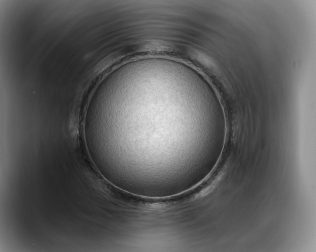 X0000088491017200705291643