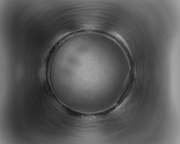 X0000088491019200705291643