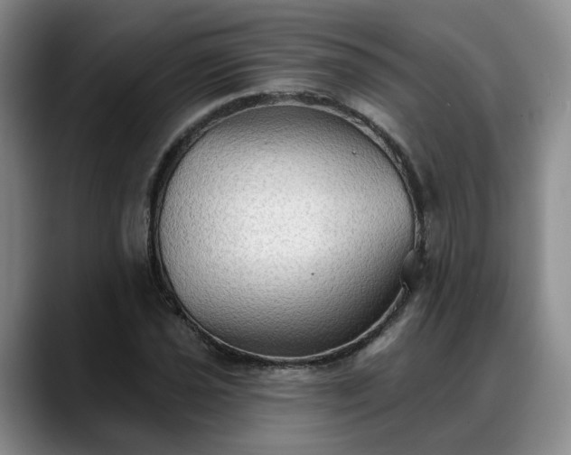 X0000088491021200705291643