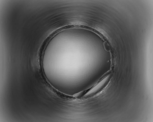 X0000088491022200705291643
