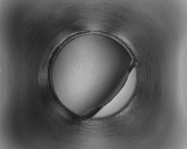 X0000088491023200705291643