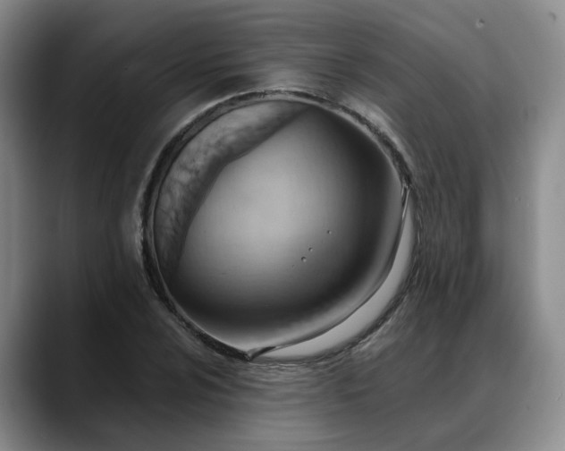 X0000088491024200705291643