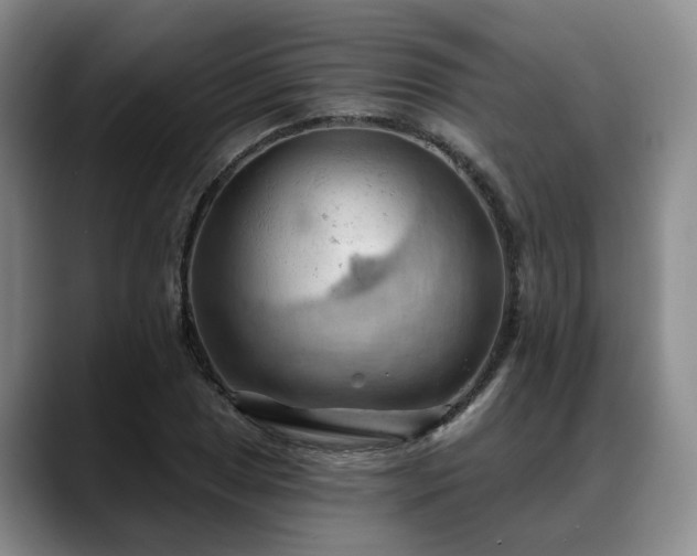 X0000088491025200705291643