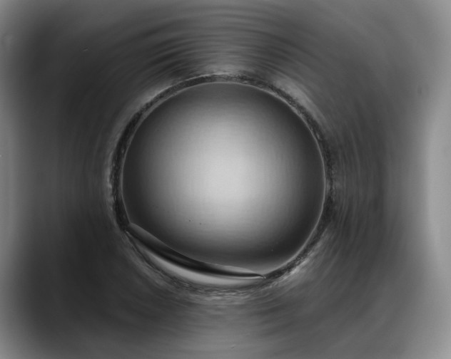 X0000088491026200705291643